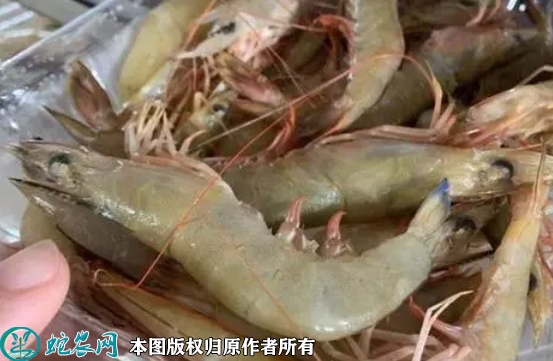 2022年1月29日中国对虾价格行情...