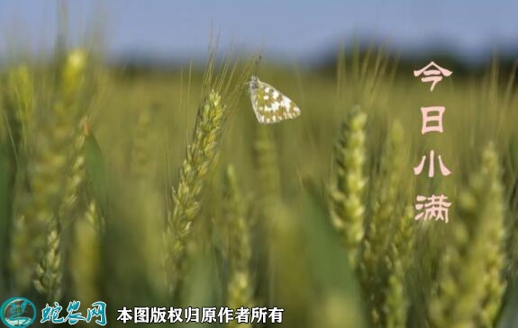 2022年小满是几月几日?小满是什么...