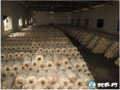 平菇的种植方法,平菇覆土栽培15种方...