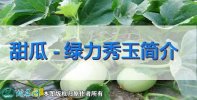 甜瓜新品种:绿力秀玉简介