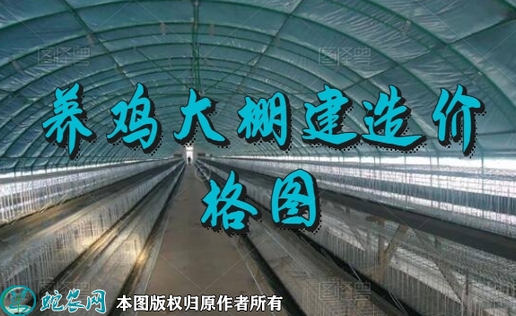 养鸡大棚、养鸡大棚建造价格图片