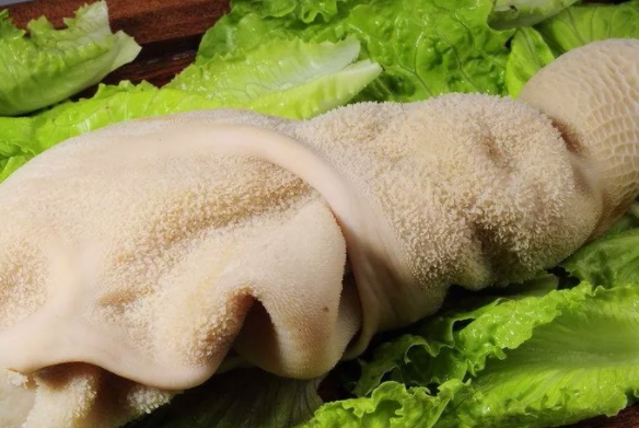 羊肚价格多少钱一斤？2022年3月今...