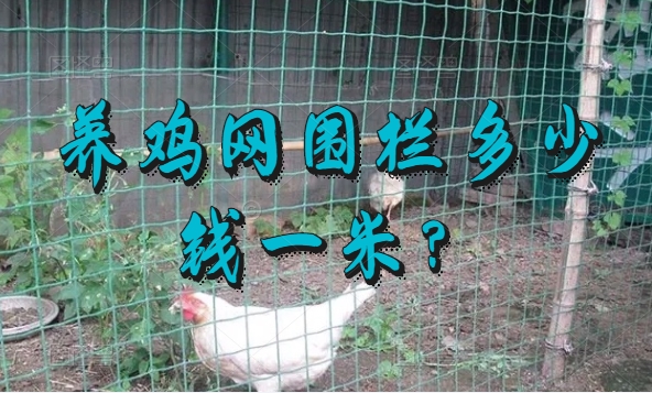 养鸡网围栏多少钱一米？哪种耐用？