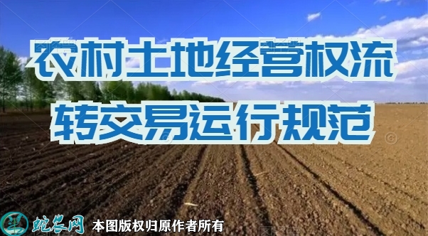 关于农村土地最新政策、土地经营权流转...