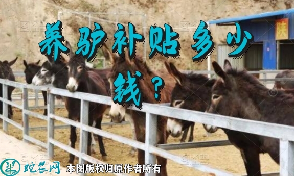 养驴补贴、2022年农村养驴补贴多少...