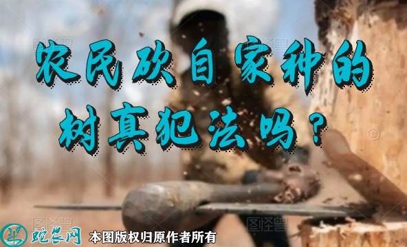 农民砍自家种的树真犯法吗？