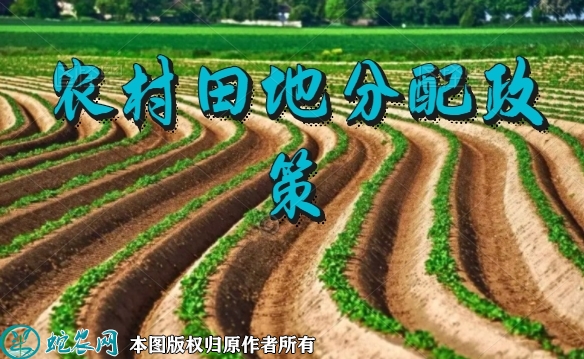 农村田地分配政策2022