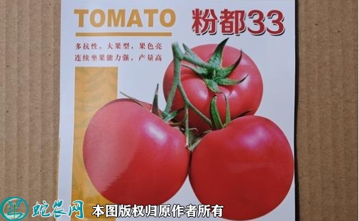 2022年6月7日粉果番茄种子价格多...