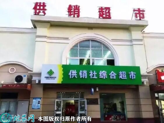 什么是供销社？供销社“再度走红”对农...