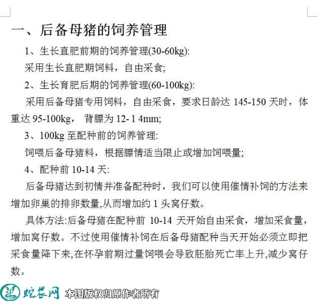 母猪养殖、母猪养殖的技术和管理