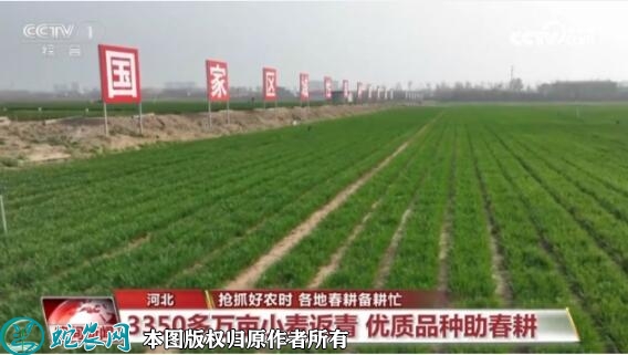 央视网：抢抓好农时 各地春耕备耕忙