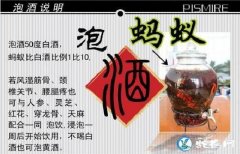 黑蚂蚁泡酒有什么功效、黑蚂蚁泡酒怎么...