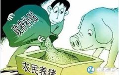 养殖政府有补贴吗？2019年农村养殖...