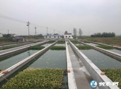 水蛭养殖赚钱吗？人工养殖水蛭致富的优...