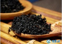 黑蚂蚁的功效？促进免疫、护肝、镇静、...