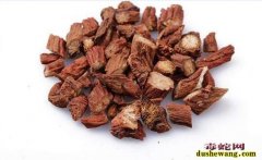 丹参种植：2020年丹参种植前景怎么...