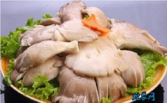 平菇的禁忌、吃平菇需要注意什么？