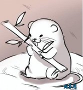 竹鼠吃什么？竹鼠真的是吃竹子的吗？