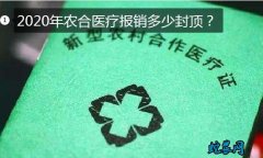 农合医疗报销多少？2020年农合医疗...