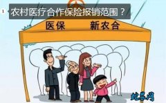 农村医疗合作保险报销范围和不准报销范...