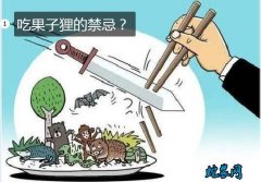 吃果子狸的禁忌？