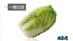 一什么白菜？一( )白菜量词是哪个？