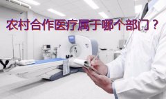 农村合作医疗属于哪个部门？