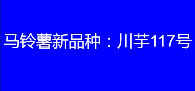 马铃薯新品种：川芋117号简介