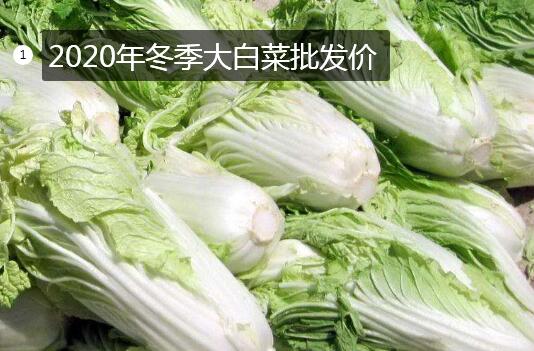 大白菜的价格