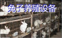 兔子养殖设备、兔子养殖设备有哪些？设...