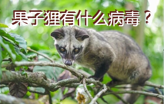 果子狸有什么病毒图1