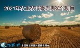 2021年农业农村部重点扶持这28个...
