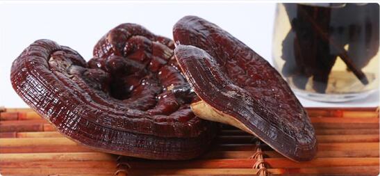 2021年3月5日赤灵芝价格行情、今日赤灵芝多少钱一斤？