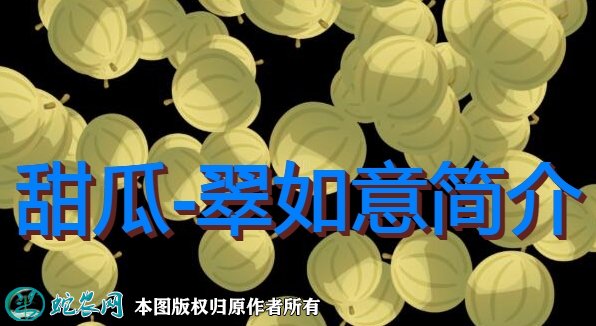 甜瓜新品种：翠如意简介