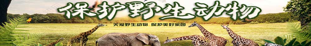 生态养蛇书籍
