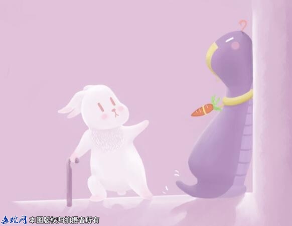 蛇兔图片大全、属蛇和属兔图片欣赏！